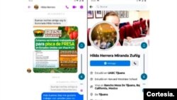 Captura de pantalla de una publicación en Facebook de una oferta para trabajar en Estados Unidos.