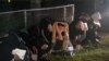 Asylum-Seekers From Mexico Hope for US Entry After Title 42 End 