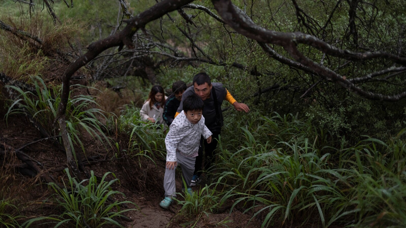 FILE - Migrants from China emerge from thick brush after being smuggled across the Rio Grande river into the United States from Mexico in Fronton, Texas, April 7, 2023. 