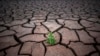 Earth Is 'Really Quite Sick Now' and in Danger Zone in Nearly all Ecological Ways, Study Says