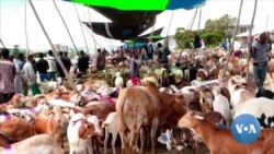 በጸጥታ ችግሮች የመንገዶች መዘጋት የበዓል ግብይቱን ማናሩን ነጋዴዎች ተናገሩ