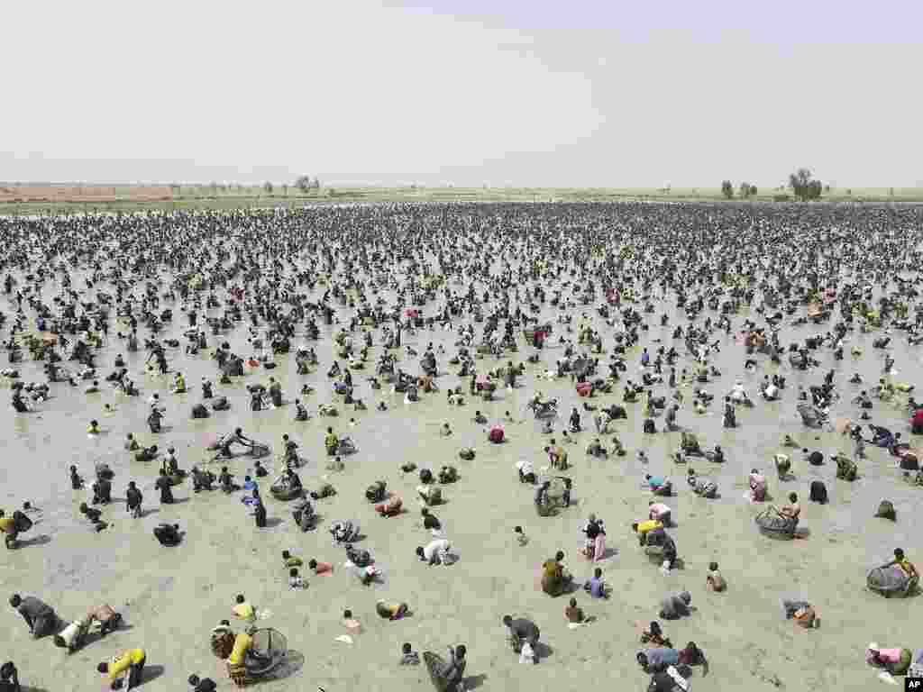 Thousands of fishermen fill a large muddy pond and cast their nets in the southern Mali town of San, during a collective fishing rite that begins with animal sacrifices and offerings to the water spirits of Sanké pond.