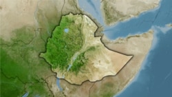 ከ450 በላይ የፊንጫ ስኳር ፋብሪካ ሠራተኞች መታሰራቸው ተገለጸ