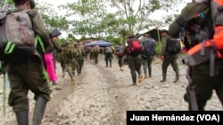 ARCHIVO - Luego del Acuerdo de Paz firmado por el alto mando de las FARC y el Gobierno de Colombia en 2016, grupos pequeños de disidentes fueron conformando núcleos de resistencia que llevaron a la creación de EMC. 