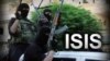 طالبان: ادعای ایران دربارۀ ورود سران داعش به افغانستان بی‌اساس است