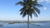 Cheias no Baixo Limpopo causam prejuizos avultados