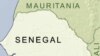 Senegal Worried About Growing 'Brain Drain'