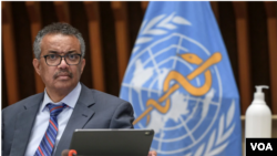 Tedros Adhanom Ghebreyesus, Shugaban hukumar lafiya ta WHO