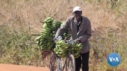 Bicicletas e banana: pedalar para conter inflação
