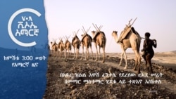 ከምሽቱ 3:00 የአማርኛ ዜና
