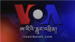 ནིའུ་ཡོག་དང་ནིའུ་ཇར་སིའི་བོད་པ་ཚོས་སྲིད་སྤྱིའི་སྔོན་འགྲོའི་འོས་བསྡུ།