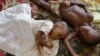 FILE - Two children with malaria rest at the local hospital in the small village of Walikale, Congo, Sept. 19, 2010.