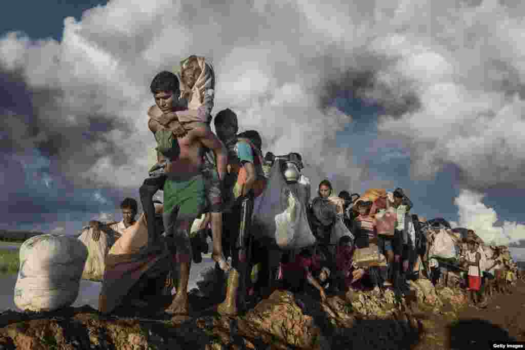 Con los pies cubiertos de barro, una fila de refugiados rohingyas cruzan un campo de arroz en Bangladesh. Un hombre joven, vestido sólo con un delgado par de pantalones cortos verdes, carga a una mujer exhausta en su espalda. [Foto: Paula Bronstein]