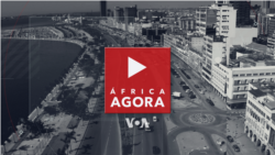 Africa Agora: Nas eleições sul-africanas, uMkhonto weSizwe de “Zuma conseguiu fragilizar o ANC”, analista José Gama 