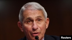 El Dr. Anthony Fauci, director del Instituto Nacional de Alergia y Enfermedades Infecciosas de EE.UU., testifica ante un panel del Senado en Washington, D.C., el martes, 30 de junio de 2020.