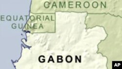 Gabonese-Born Supermodel Advocates for Political Freedom