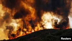 Llamas impulsadas por el viento avanzan sobre una colina hacia viviendas durante el Incendio del Río (complejo Mendocino) cerca de Lakeport, California, EE.UU., 2 de agosto de 2018. El presidente Donald Trump declaró "desastre mayor" en el área para liberar fondos federales de emergencia.