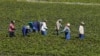 África do Sul e Moçambique cooperam na inspecção laboral