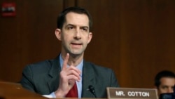 共和黨聯邦參議員科頓（Sen. Tom Cotton, R-AR）