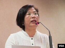 執政的國民黨立委 陳碧涵（美國之音張永泰拍攝）