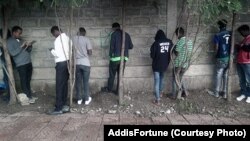 ወጣቶች ገመድ አልባ የኢንተርኔት ኔትወርክ ፍለጋ (ፎቶ፡ ፎርቹን)