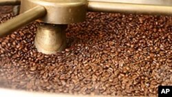 Processamento do café