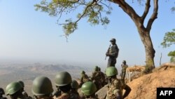 Wanajeshi wa Cameroon washika doria kwenye picha ya awali kaskazaini mwa nchi