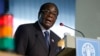 Zimbabwean President Robert Mugabe delivers his speech at the United Nations Food and Agriculture Organization FAO headquarters during a World Summit on Food Security, in Rome, Tuesday, Nov. 17, 2009. (AP Photo/Alessandra Tarantino, pool)