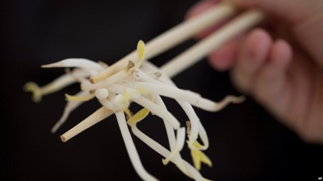 A woman holds bean sprouts with chopsticks in Berlin, Germany, June 5, 2011