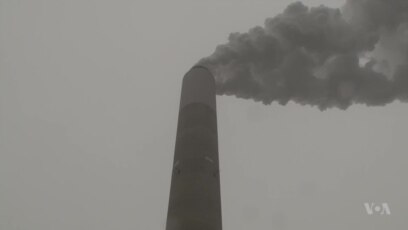 Trump Orders Review of Obama Climate Rule