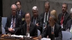 聯合國安理會通過有關外國戰鬥人員的決議