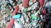 Plastic Trash in Oceans Enters Marine Food Chain