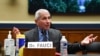 Director of the National Institute of Allergy and Infectious Diseases Dr. Anthony Fauci testifies before a House Committee on Energy and Commerce on the Trump administration's response to the COVID-19 pandemic on Capitol Hill in Washington, June 23, 2020.