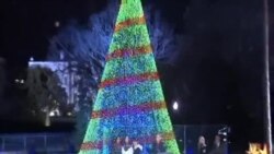 奧巴馬總統點亮國家聖誕樹