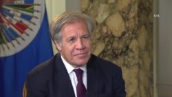 Almagro: "OEA no le ha fallado a los venezolanos"