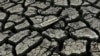 A boat paddle is shown on the bottom of the nearly dry Almaden Reservoir near San Jose, California January 21, 2014. 