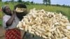 IMF Unhappy with Zimbabwe Policies