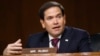 佛羅里達州共和黨聯邦參議員魯比奧（Sen. Marco Rubio, R-FL）也在推特上支持美國國務院的制裁中國決定。