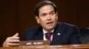 共和黨聯邦參議員魯比奧（Sen. Marco Rubio, R-FL）星期三（8月26日）發表投書稱，無論是微軟或是其它美國公司收購TikTok，特朗普政府限制TikTok的行政命令都是受歡迎的舉措。