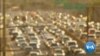 Smog-Fighting Shingles Helping to Clean California Air