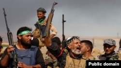 حەشدی شەعبی