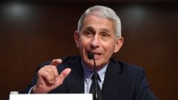 Dr Anthony Fauci