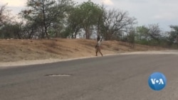Moçambique: Buracos na estrada criam novas oportunidades para pobres