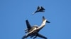 FILE - A Russian Air Force Beriev A-50 early-warning aircraft and a Sukhoi Su-27 jet fighter fly over Kaliningrad, Russia, April 25, 2020.