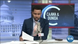 Caawa iyo Dunida