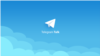 "Telegram" - jihodchilarning eng ommaviylashgan aloqa vositasi