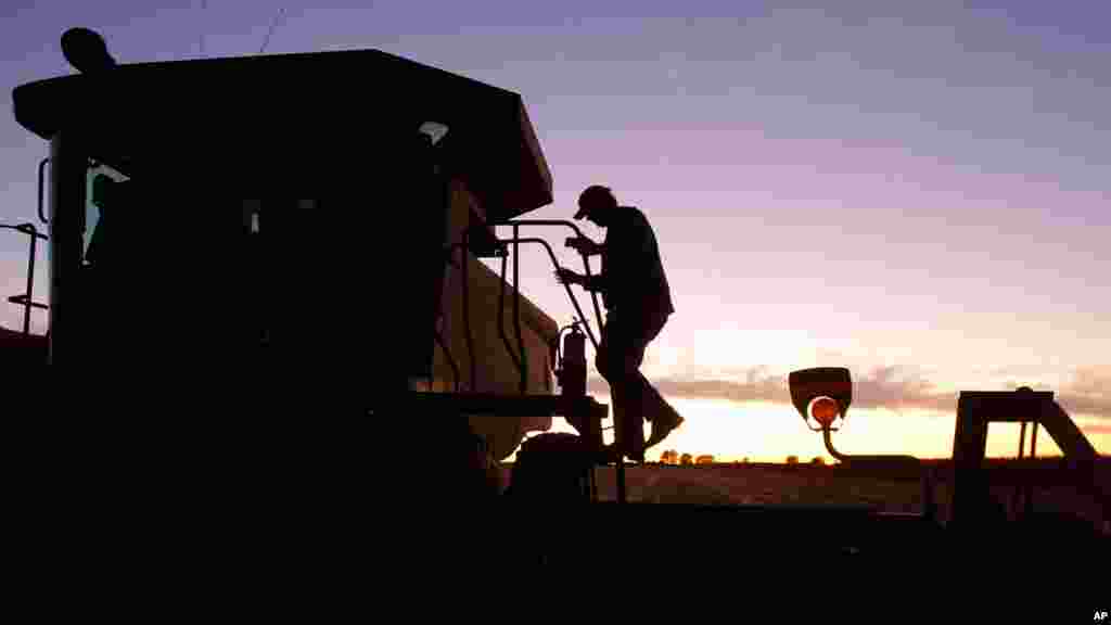 Illinois farmer Joe Pickrell climbs back into the combine after a maintenance break.