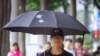 中國廣東人權活動人士被捕受關注