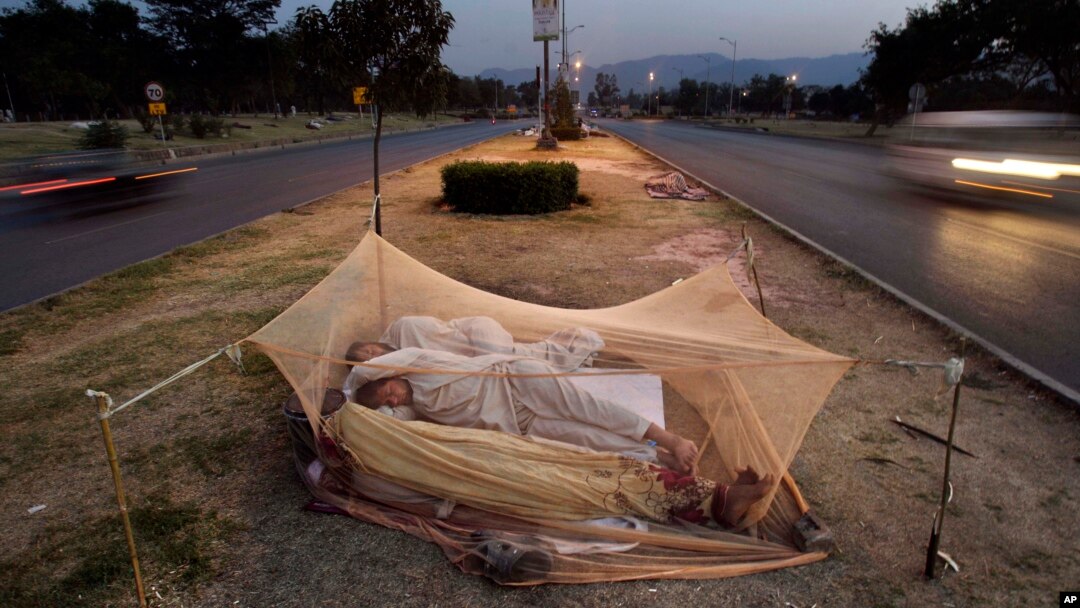 Global Malaria Report