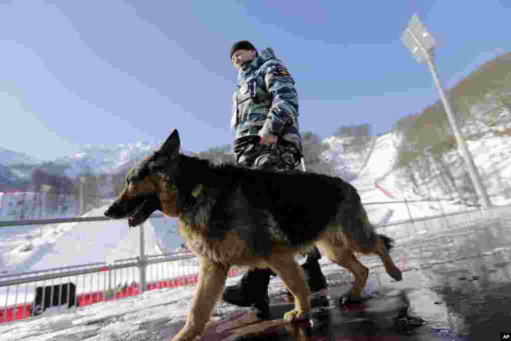 俄罗斯安全部队警官带着警犬在滑雪场终点附近巡逻。